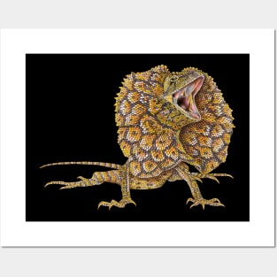 Frilled Lizard Posters and Art